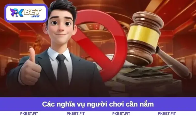 Miễn Trừ Trách Nhiệm PKBET 2 Các nghĩa vụ người chơi cần nắm