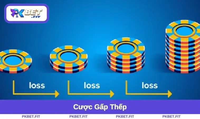 Cược Gấp Thếp - Chiến Thuật Cá Cược Tối Đa Hóa Lợi Nhuận 3 cuoc-gap-thep
