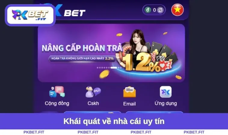 Tải App PKBET 1 Khái quát về nhà cái uy tín