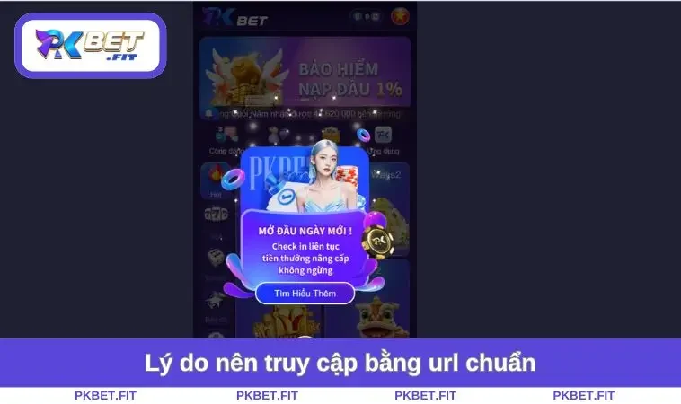 Lý do nên truy cập bằng url chuẩn