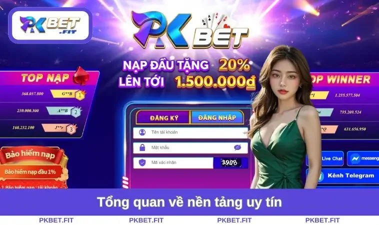Home 26 Tổng quan về nền tảng uy tín